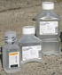 (USE HC-0065 TEMP) Sodium Chloride - 0.9% Irrigation, 100ml bottle, 48/case. 
